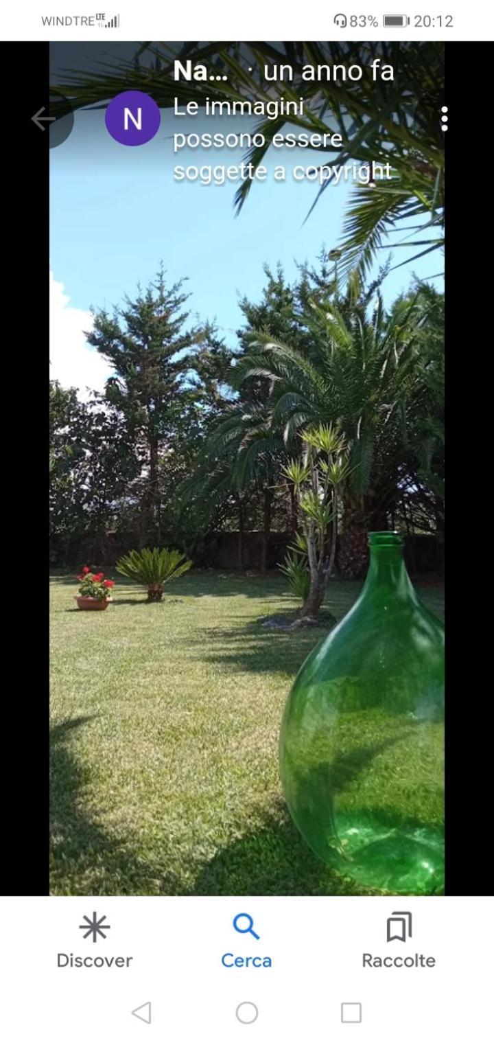 לינה וארוחת בוקר פסטום Mamena מראה חיצוני תמונה